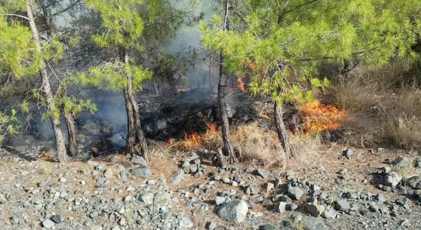 Erzin'de orman yangını!