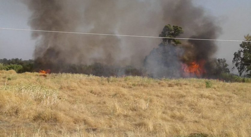 Kırıkhan'da tarlada yangın çıktı: 3 dönüm arazi kül oldu
