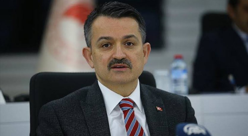 Bakan Pakdemirli: Yanan alanların tamamı yeniden ağaçlandırılacak