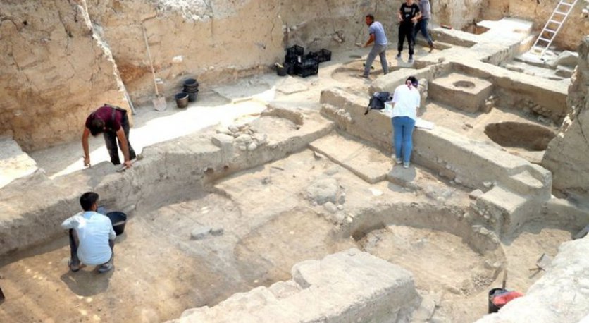 Toprakhisar Höyük, Altınözü, zeytin ve zeytinyağının tarihi